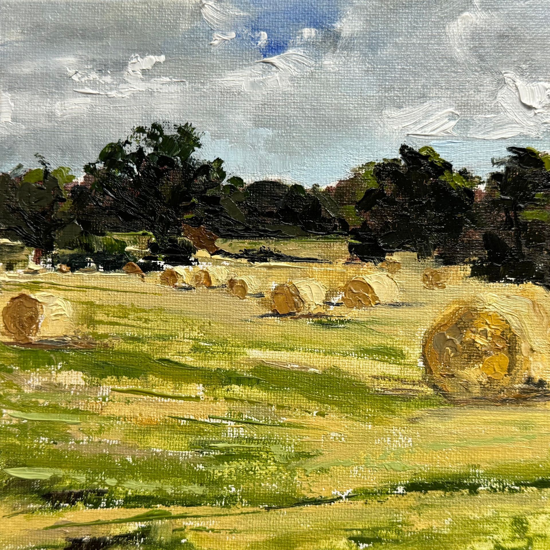 Hay bales scattered across a sunlit green field under a cloudy sky, with dark trees in the background