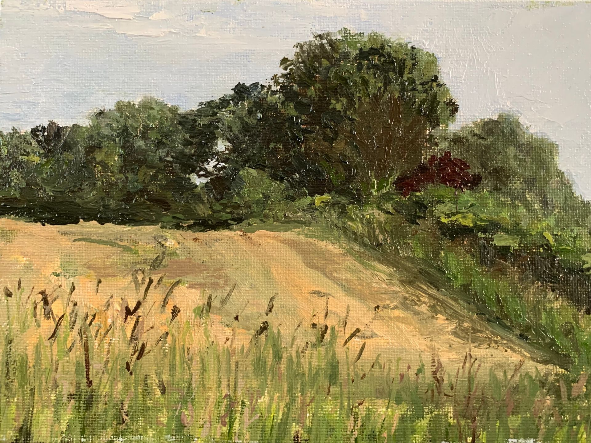 Grassy field with a dirt path and trees under a pale sky.