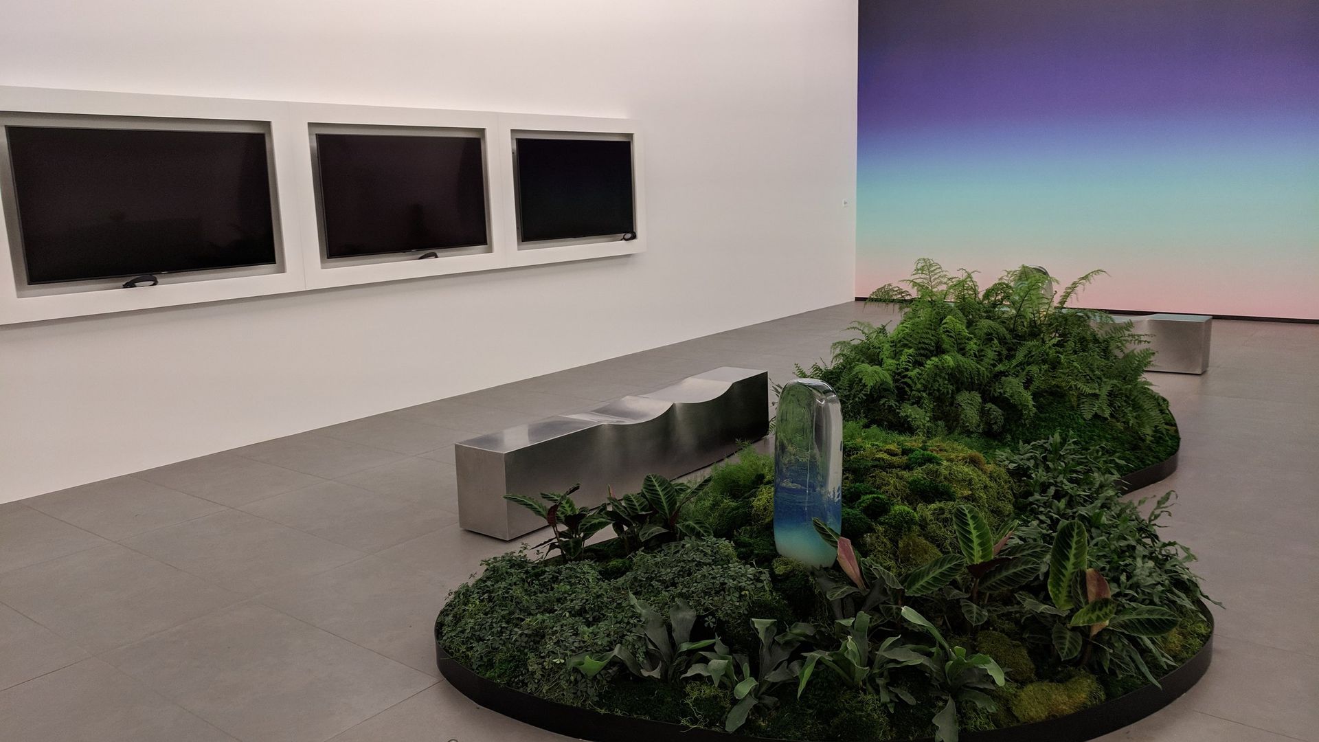 A room with a plant in the middle of it and three televisions on the wall.