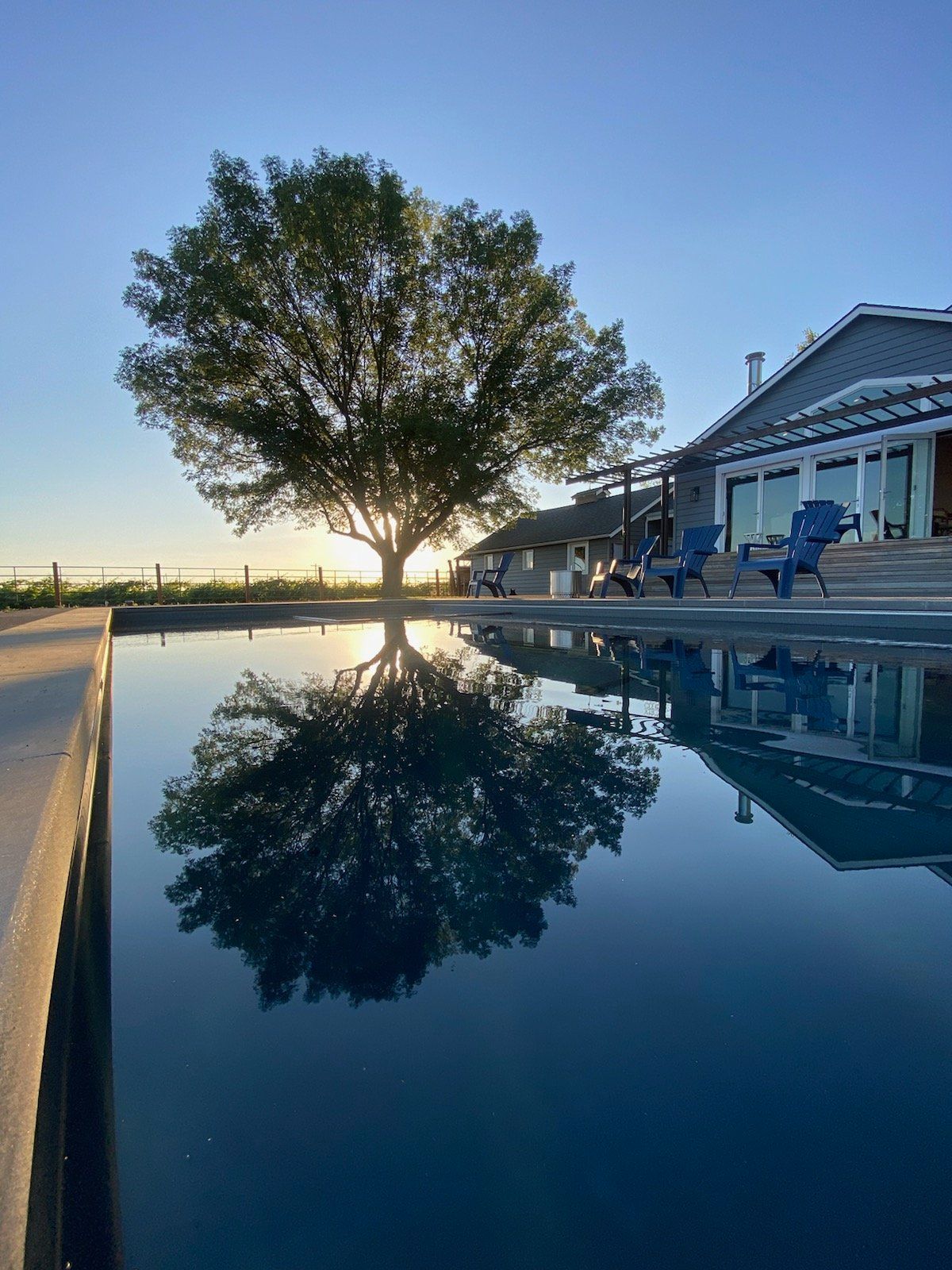 A tree is reflected in a swimming pool in front of a house.