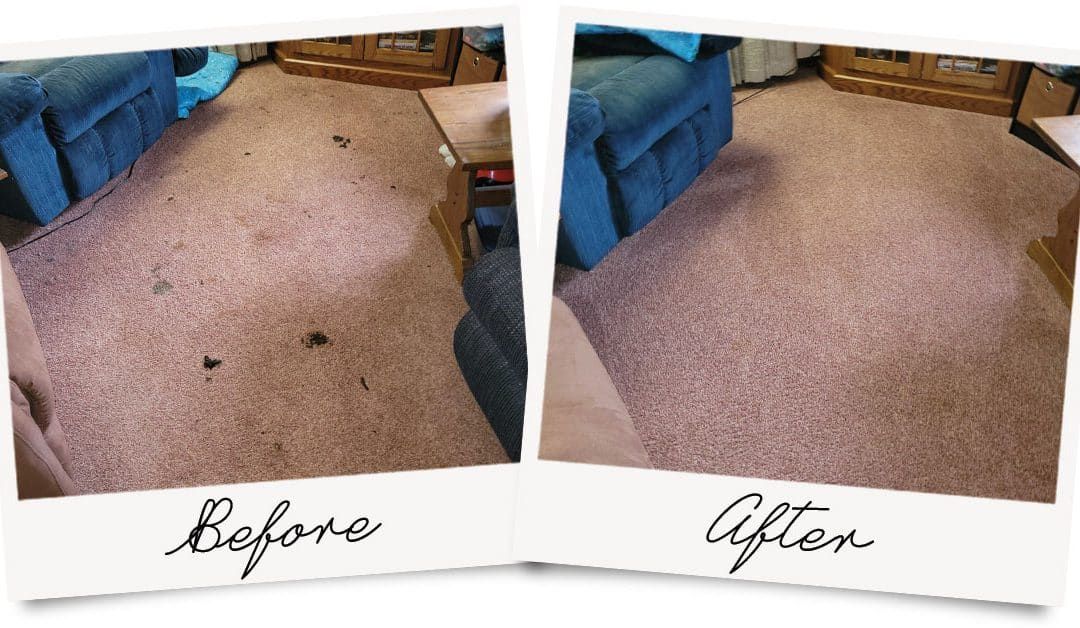 A before and after photo of a carpet in a living room.