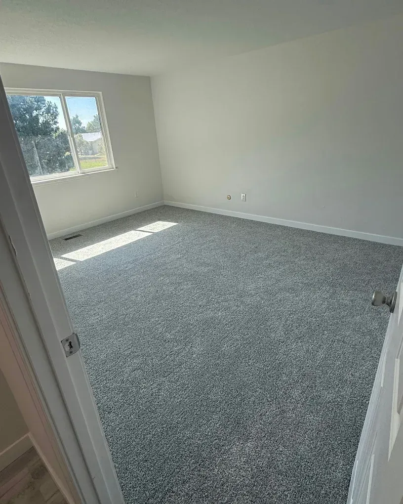 Empty carpeted bedroom with white walls and a window letting in sunlight