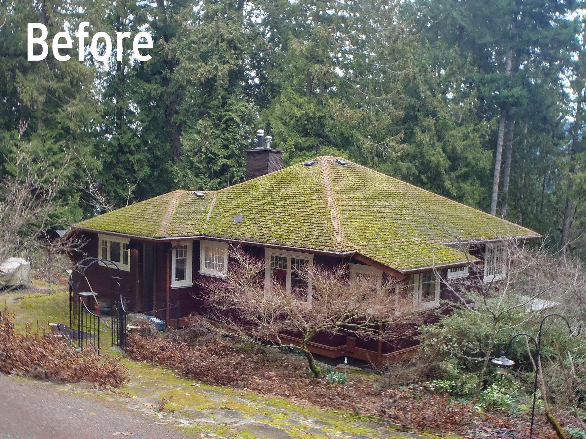 A before picture of a house with moss on the roof