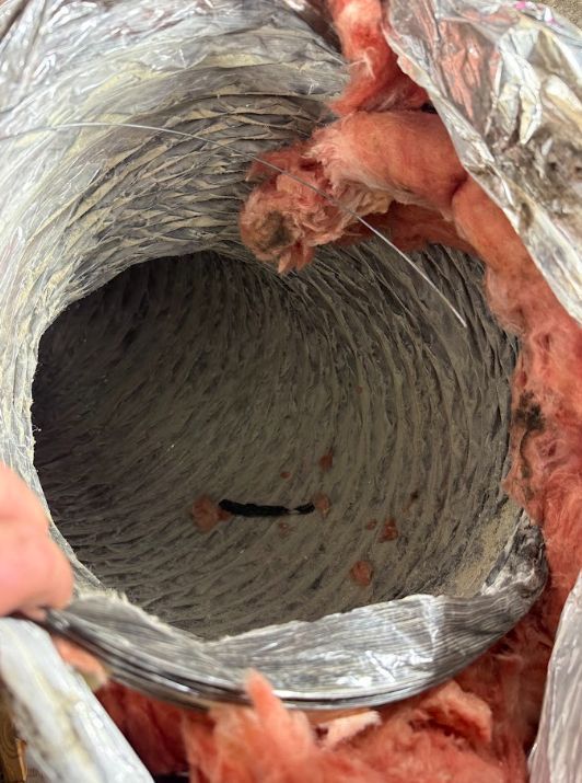 Inside a round metal duct, a gray corrugated tunnel with red insulation exposed at the rim and a dark opening ahead