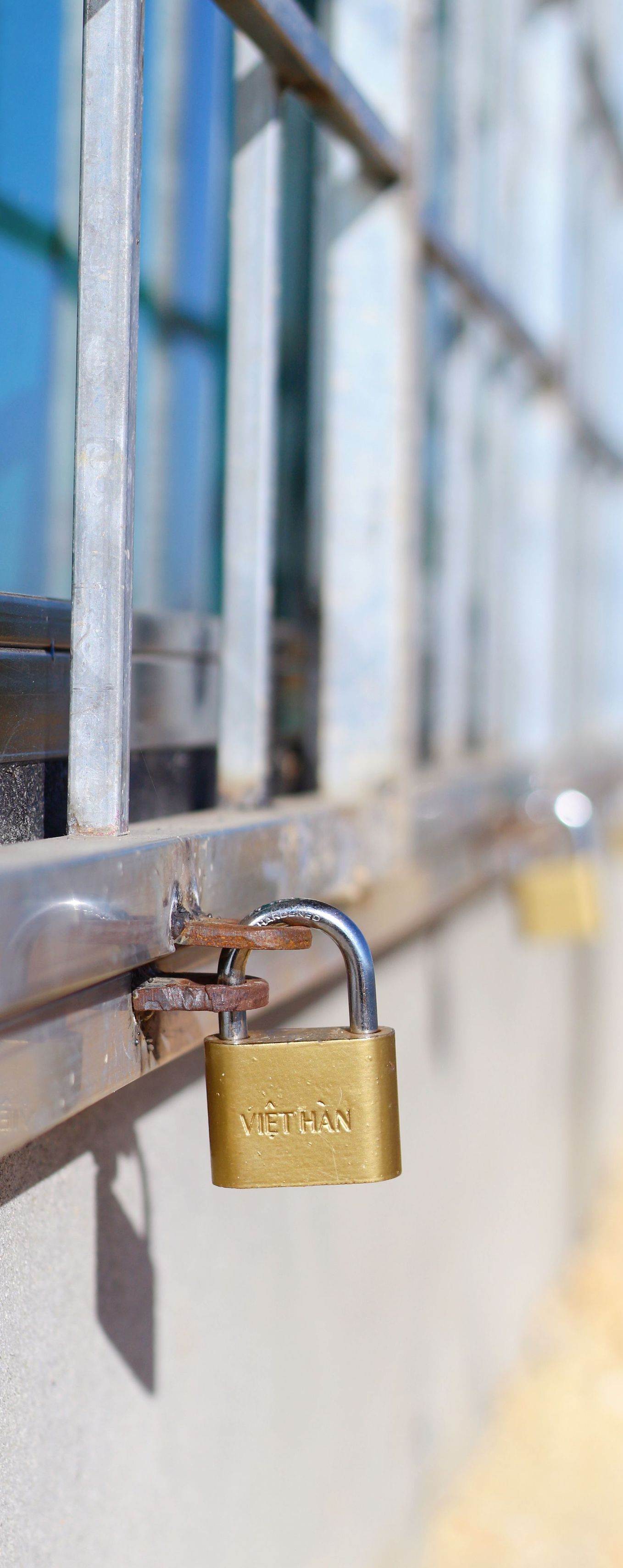 Gold padlock on a metal gate, securing a closed fence.