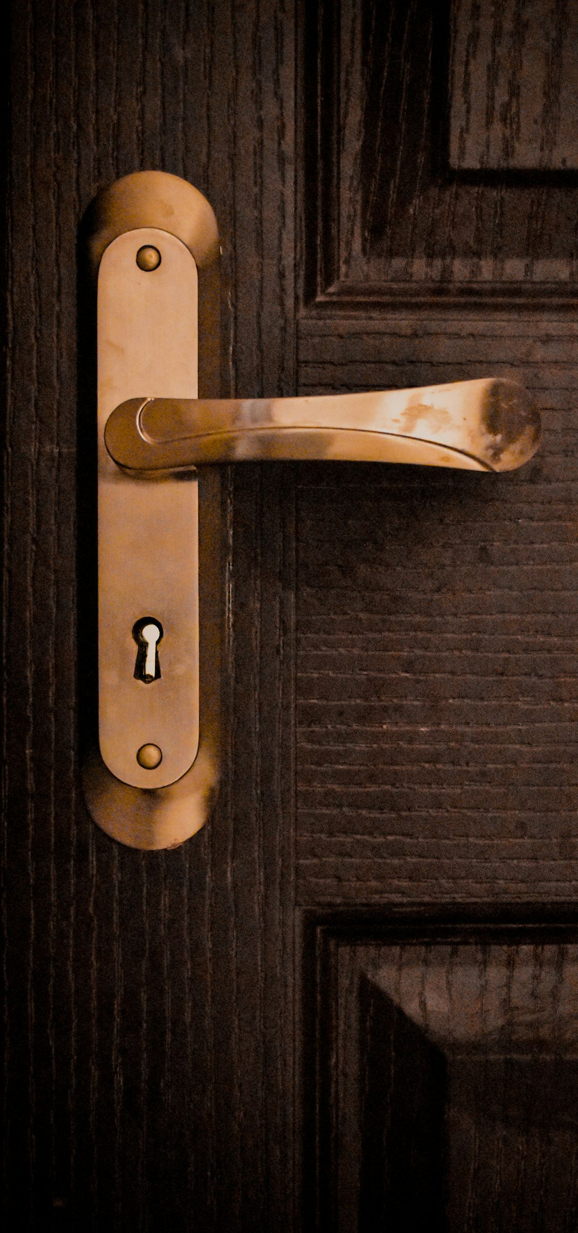 Gold door handle and keyhole on a dark wooden door.