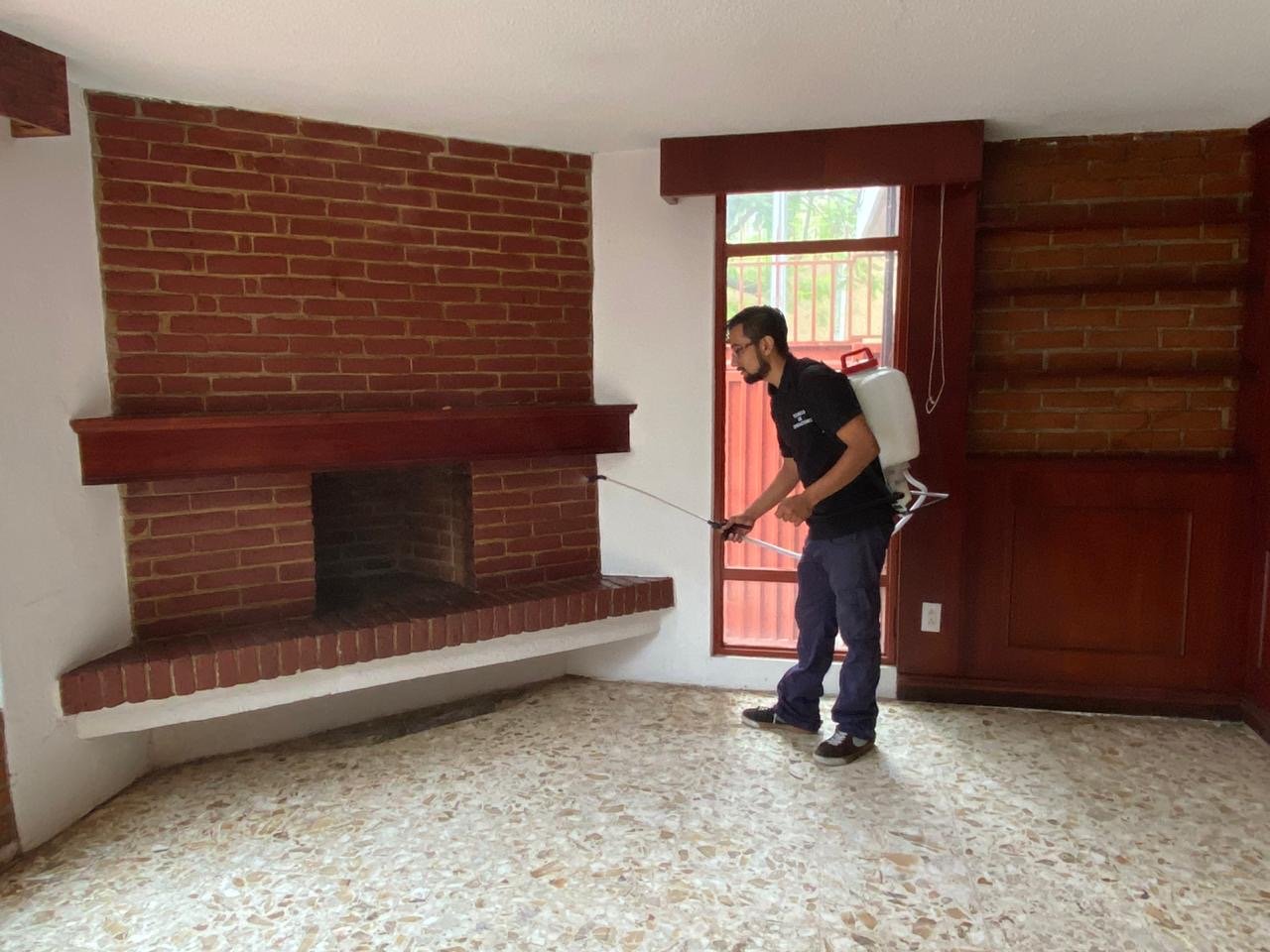 Fumigación y control de plagas