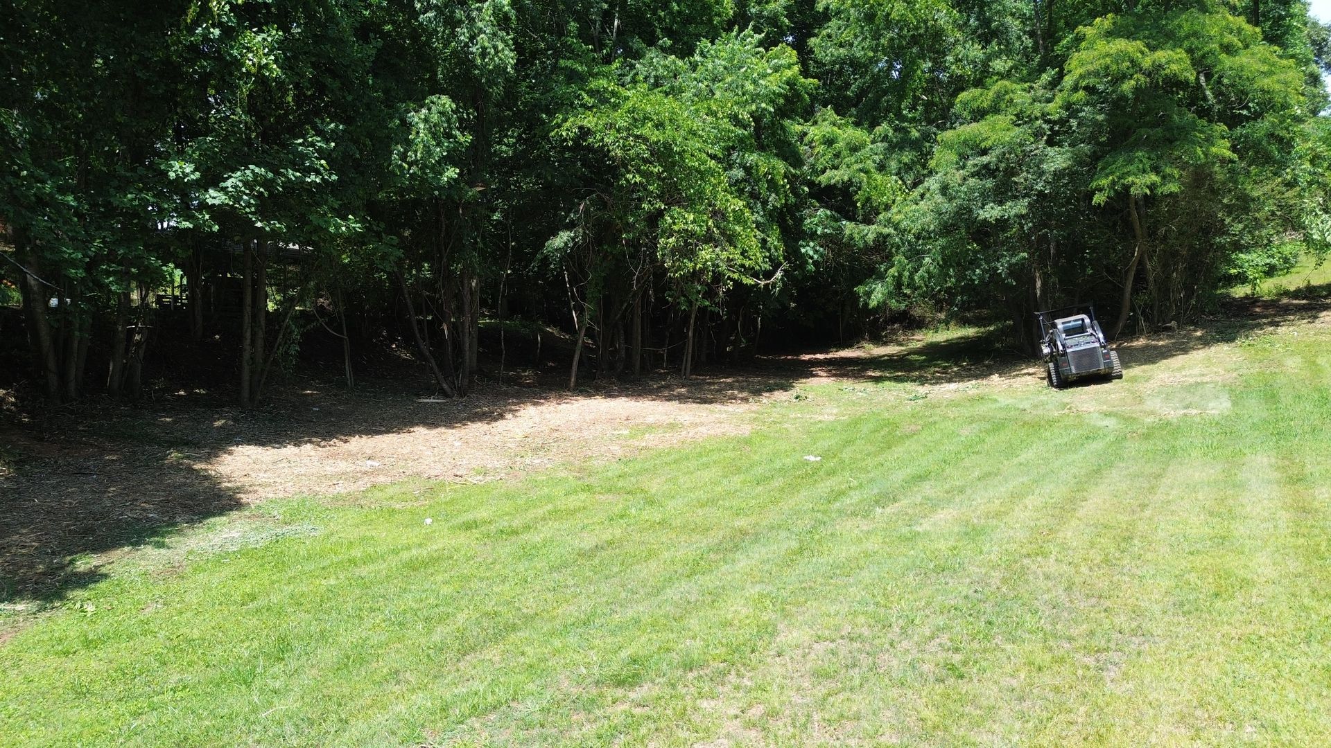 Grassy field beside dense trees, with a small vehicle parked on the right.