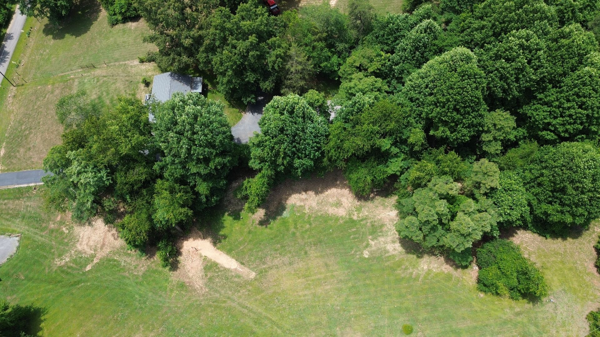 Aerial view of a grassy field beside dense green trees and a small paved road.