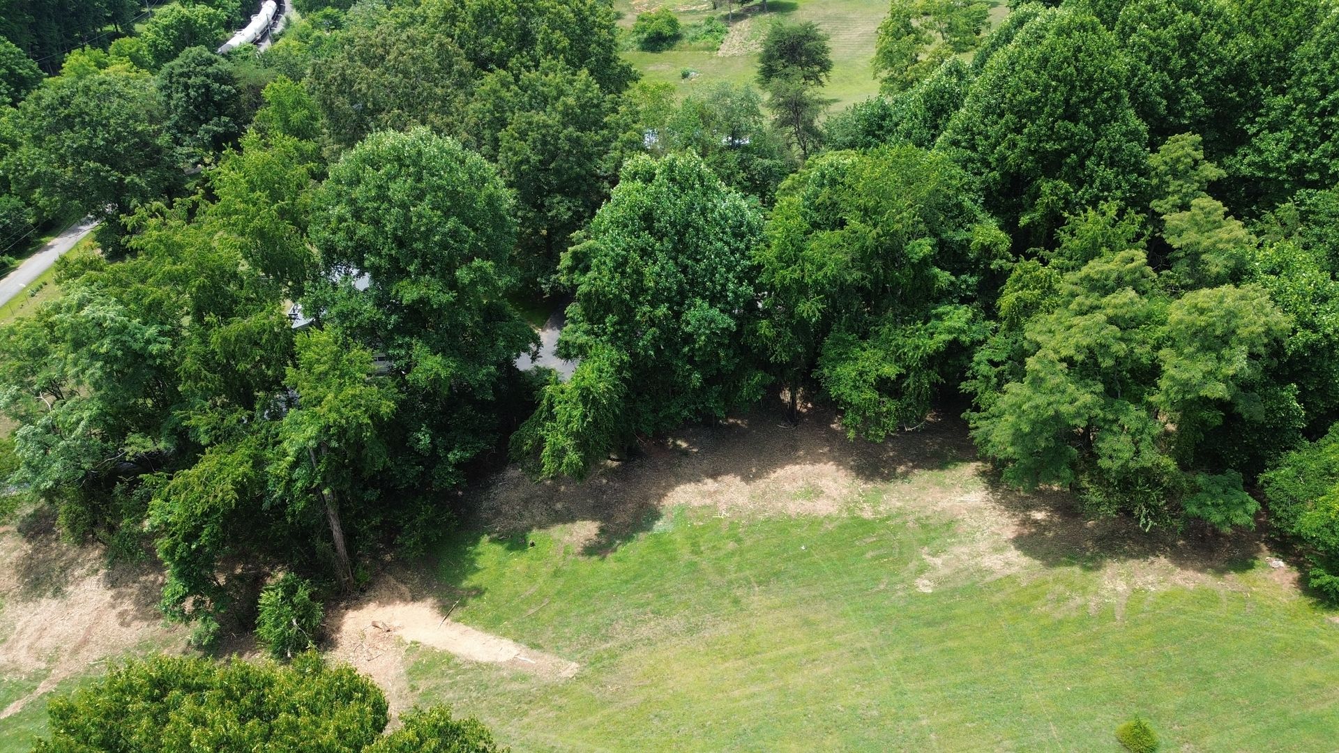 Aerial view of dense green trees bordering a grassy clearing and dirt path