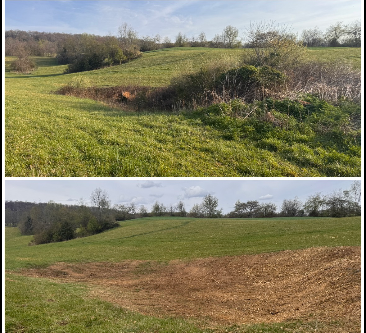 Before-and-after view of a grassy field with a brushy ditch, showing mowed brown patches in the lower image
