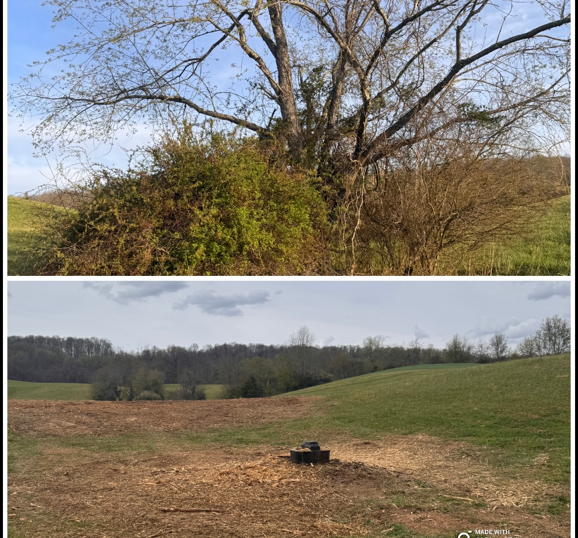 Two rural landscape photos: a leafless tree above shrubs and a plowed field with a small black object under cloudy sky