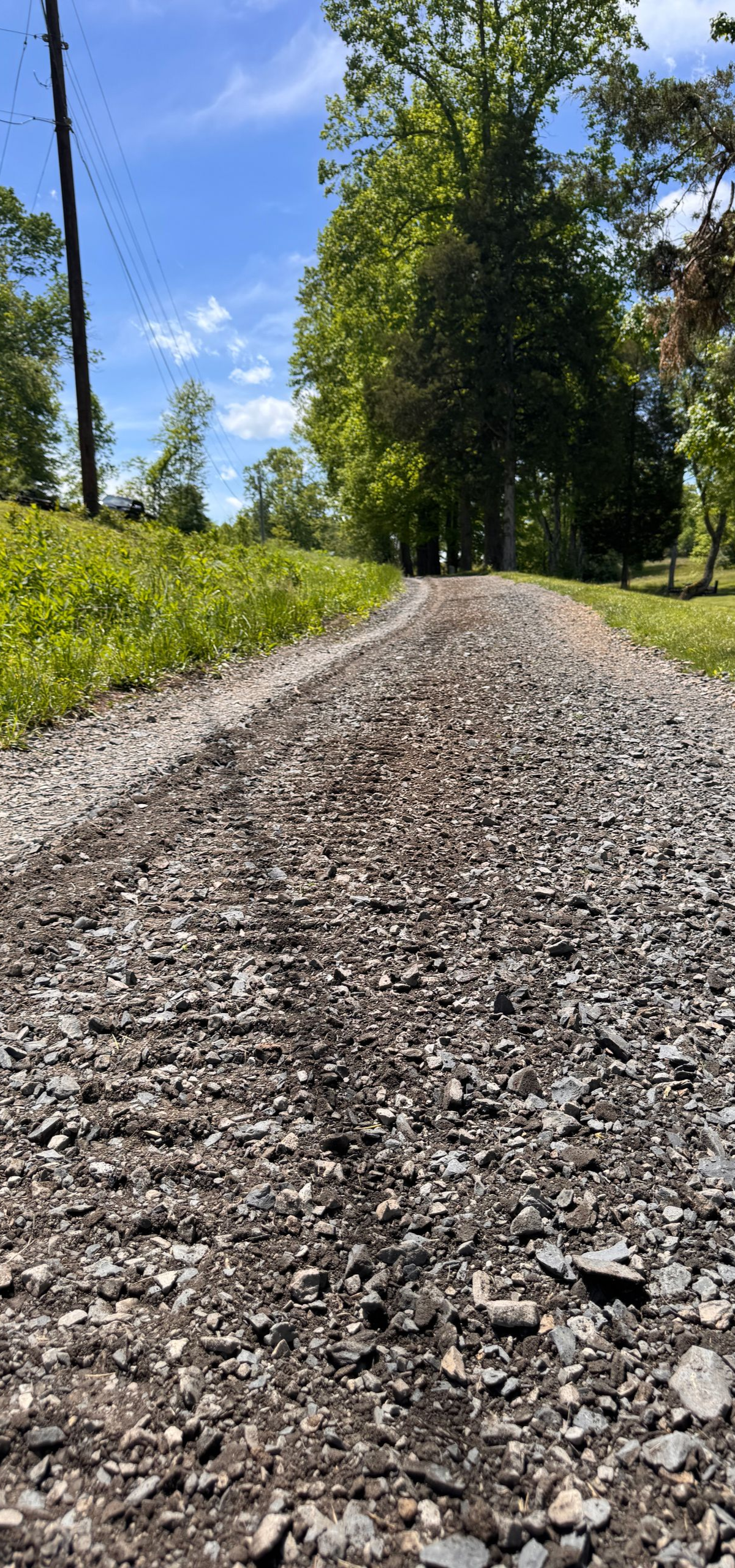 Gravel path leading through green trees under a bright blue sky