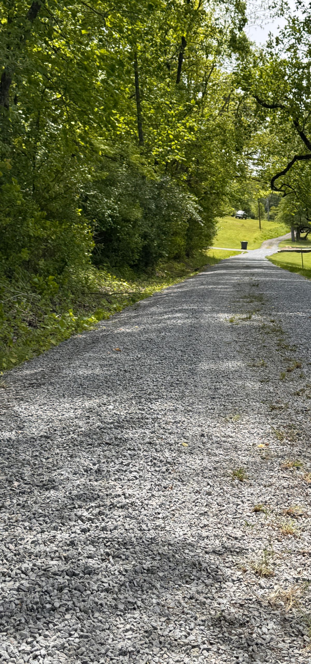Gravel path curving through dense green trees and bushes in a sunny wooded area