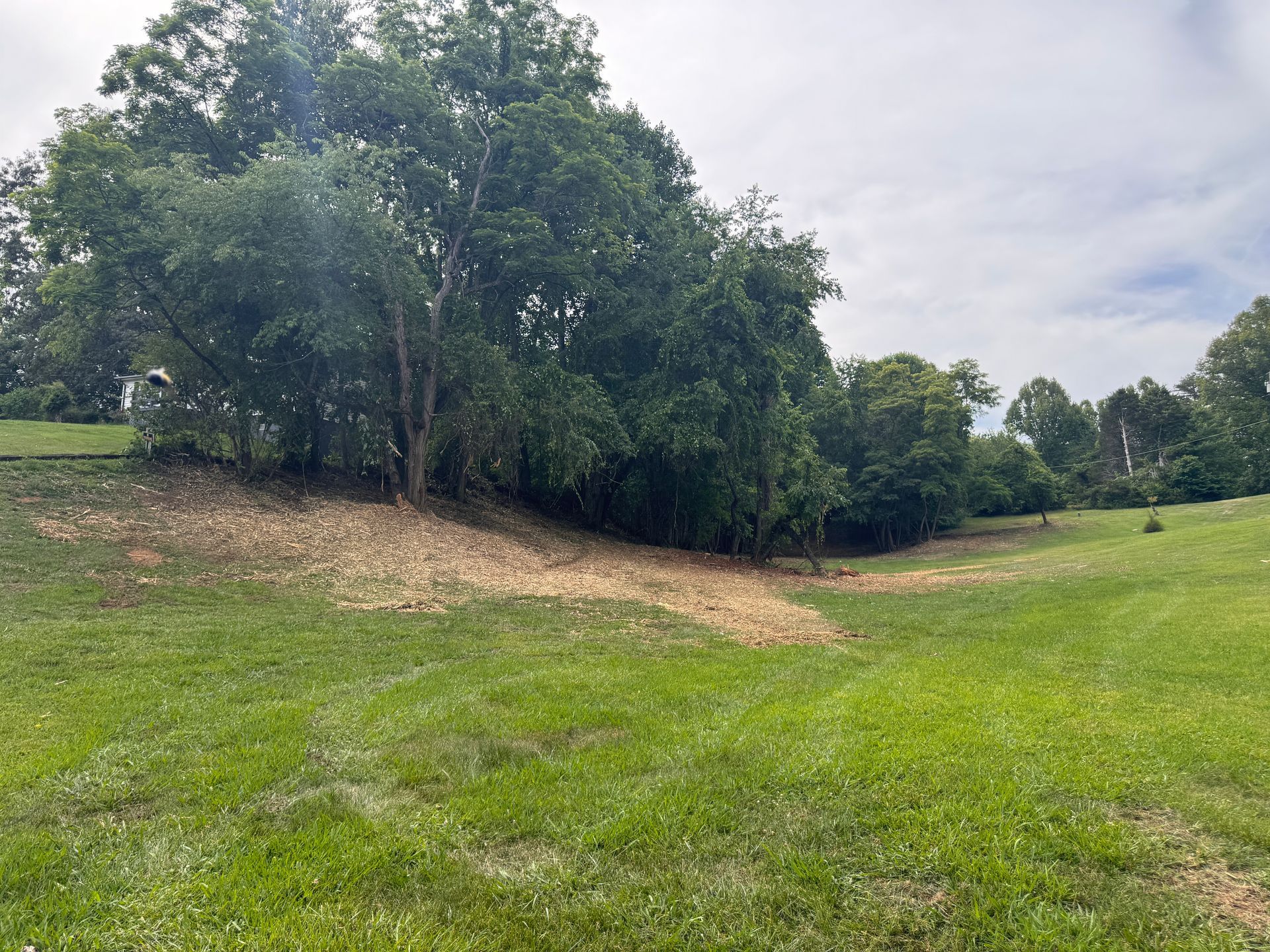Grassy field with a line of trees under a cloudy sky, showing a sloped dirt patch on the left
