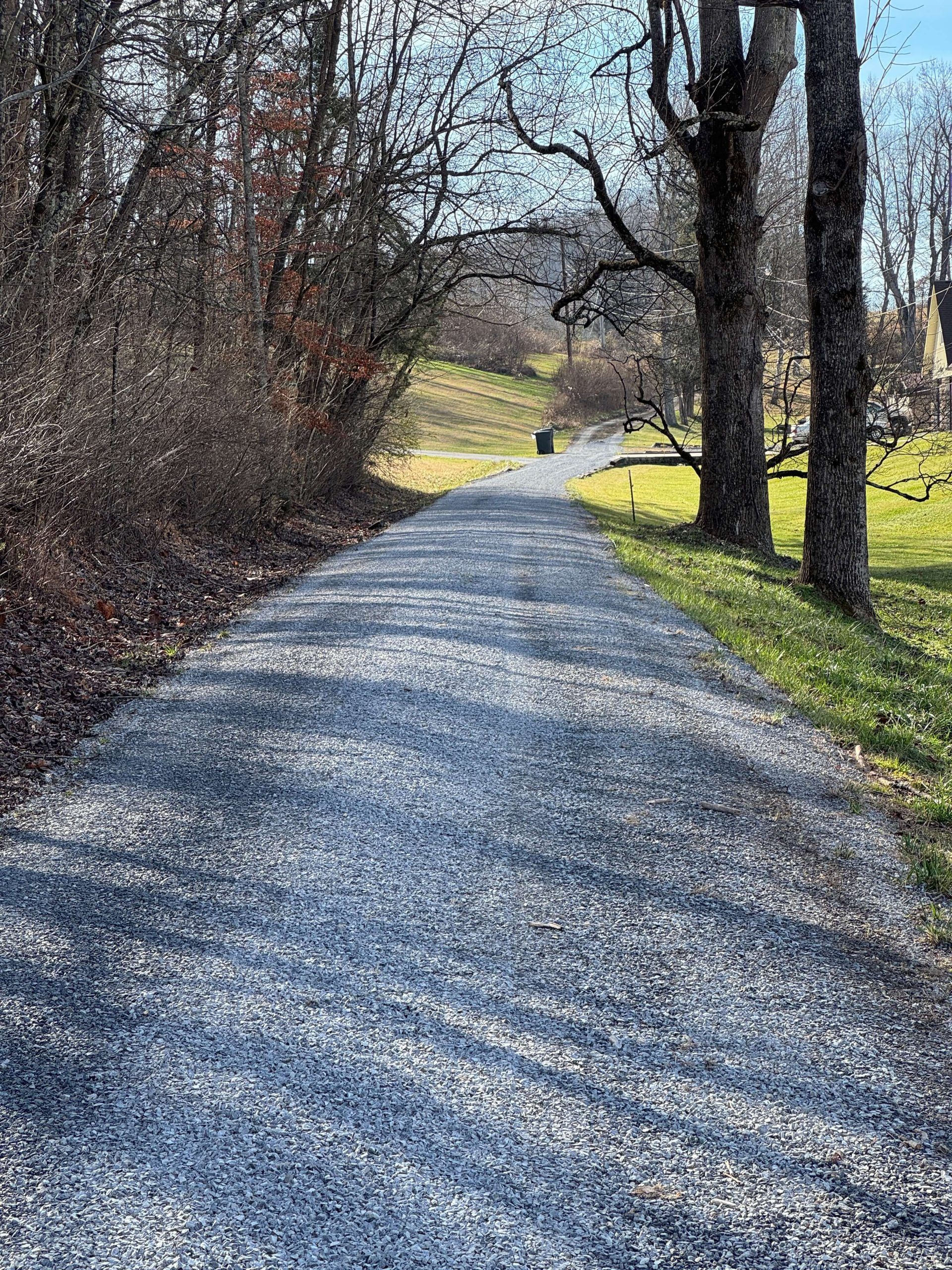 Gravel path through leafless trees and winter grass, with a small dog in the distance.