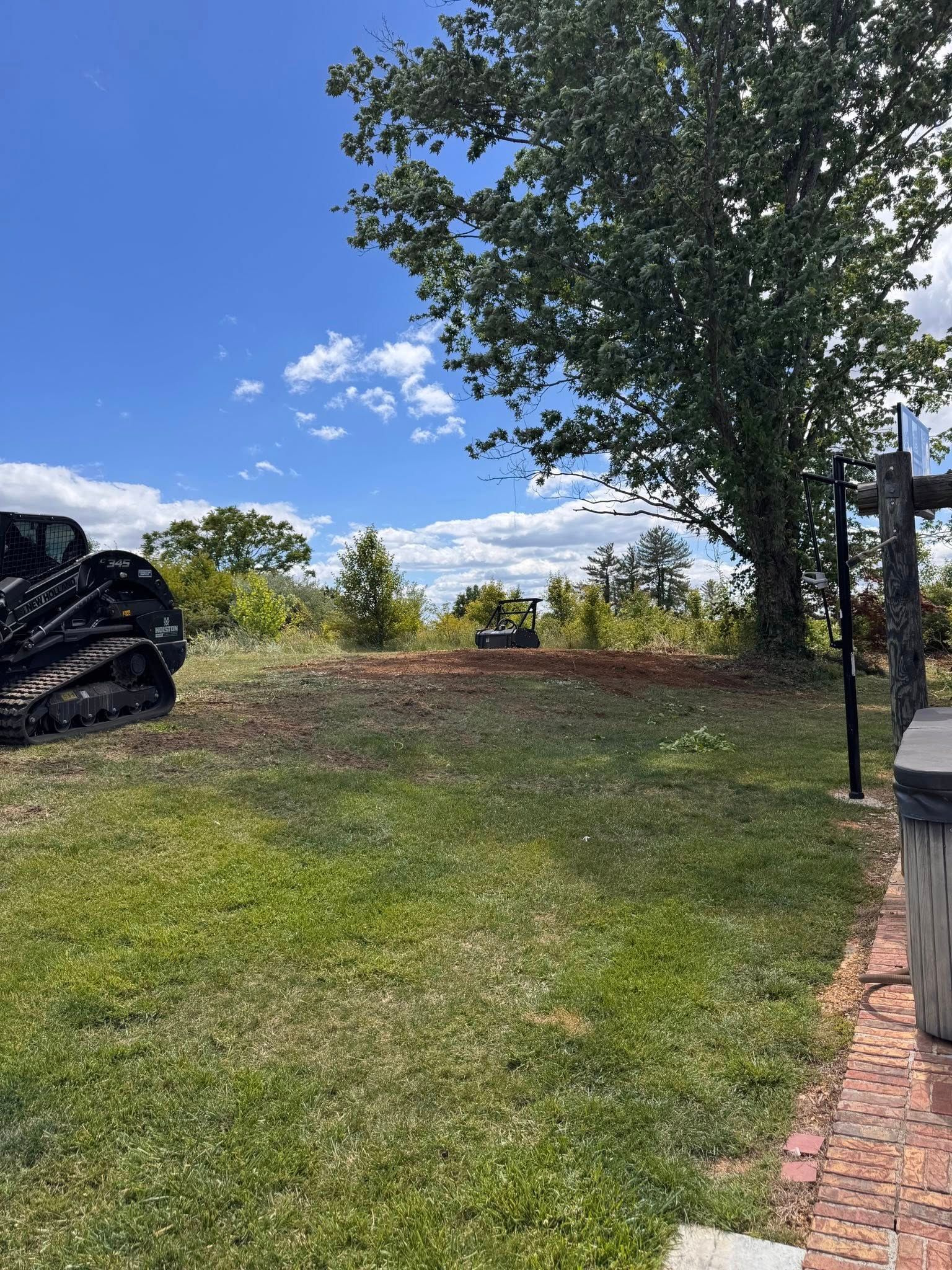 Grassy yard with a large tree, blue sky, and a black vehicle partly visible on the left.