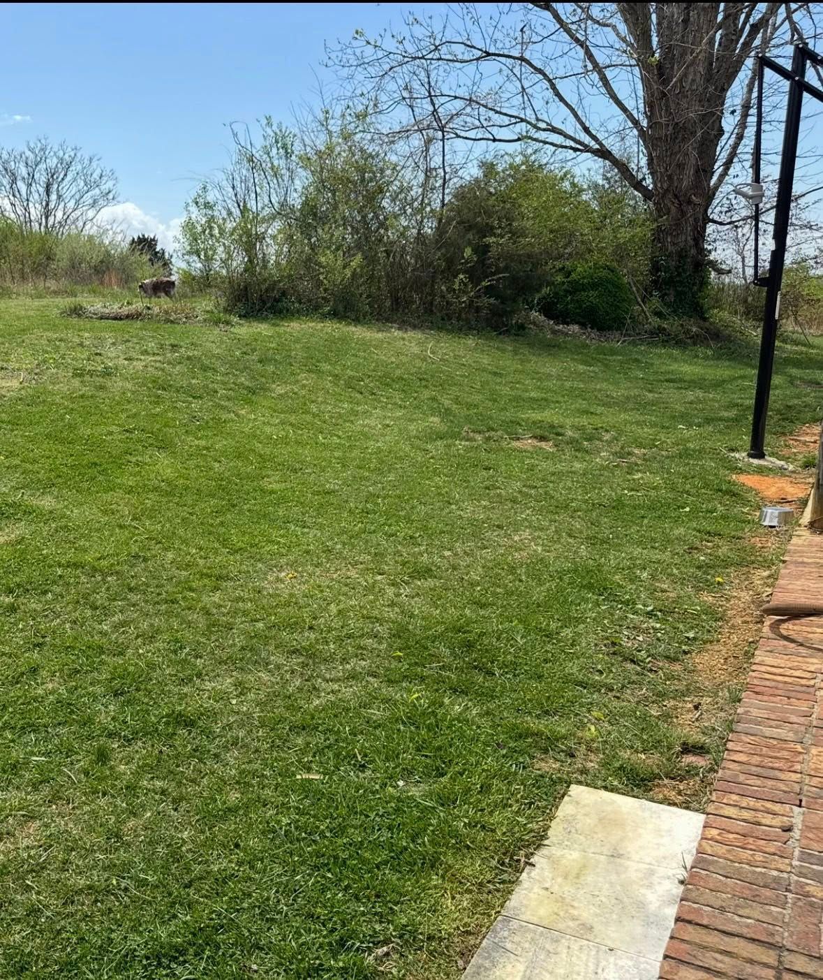 Grassy backyard with shrubs and trees beside a brick patio and walkway