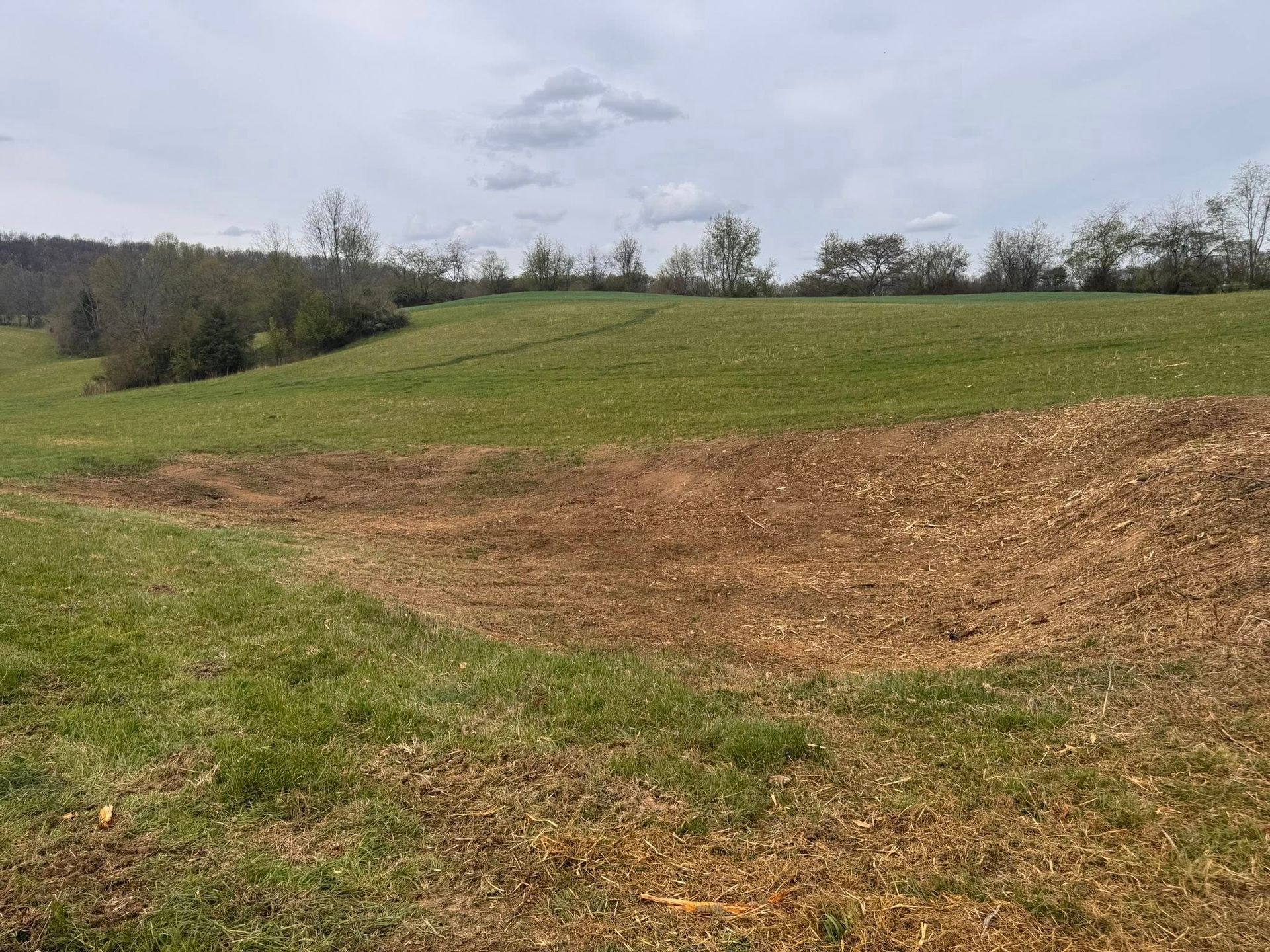 Grassy hillside with a bare dirt path and trees under a cloudy sky