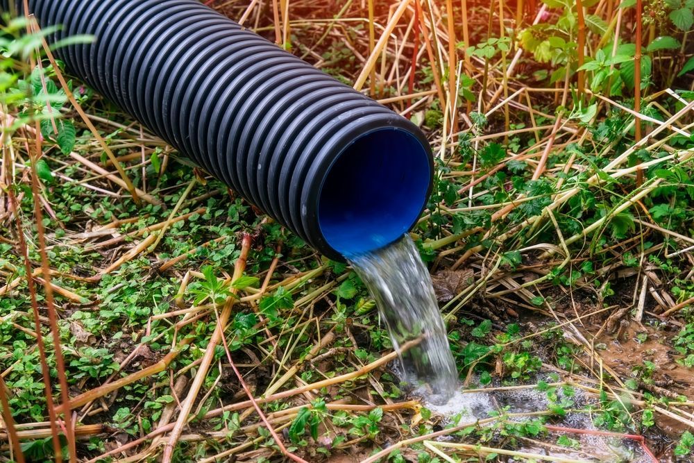 Water flowing from a black corrugated drainage pipe into grass and weeds