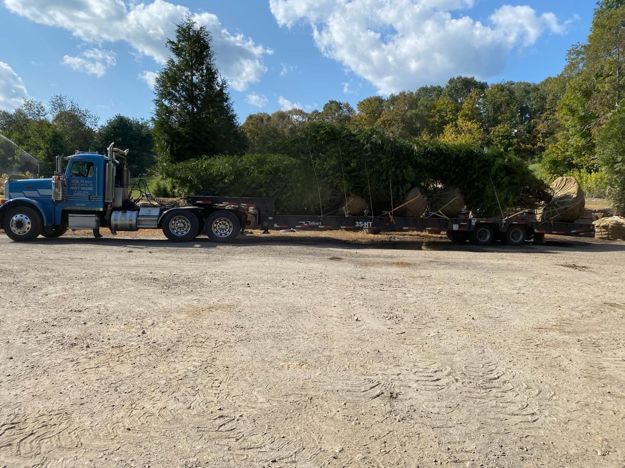 Gallery | Young's at Three Rivers | Tree Nursery