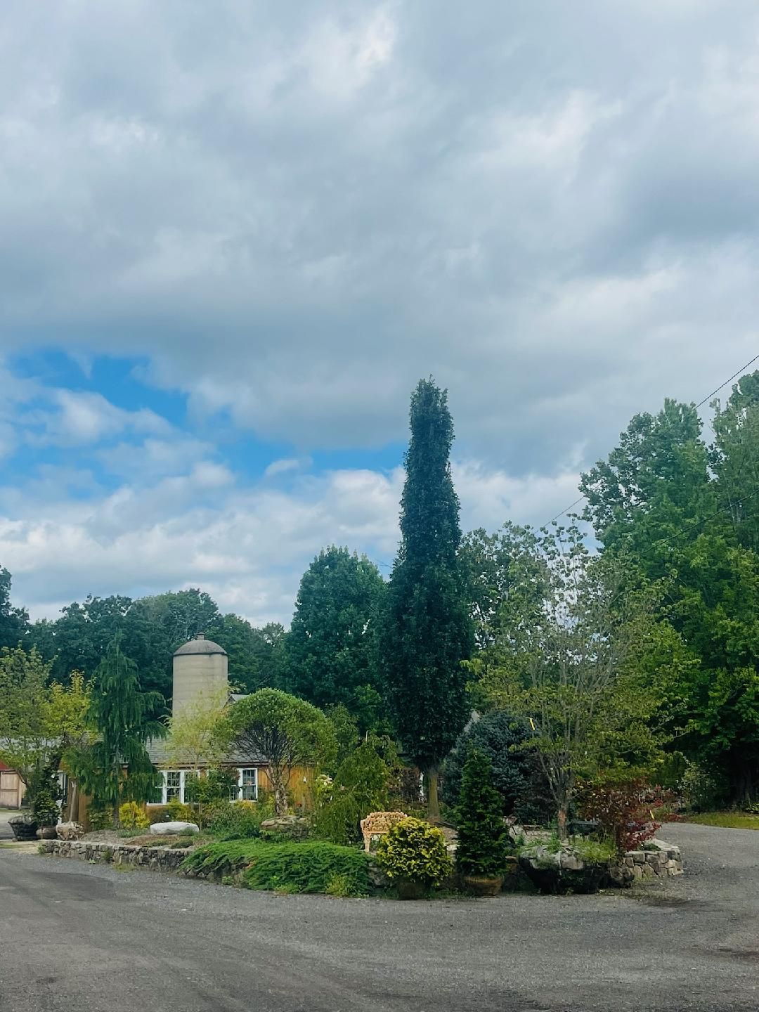 Gallery | Young's at Three Rivers | Tree Nursery