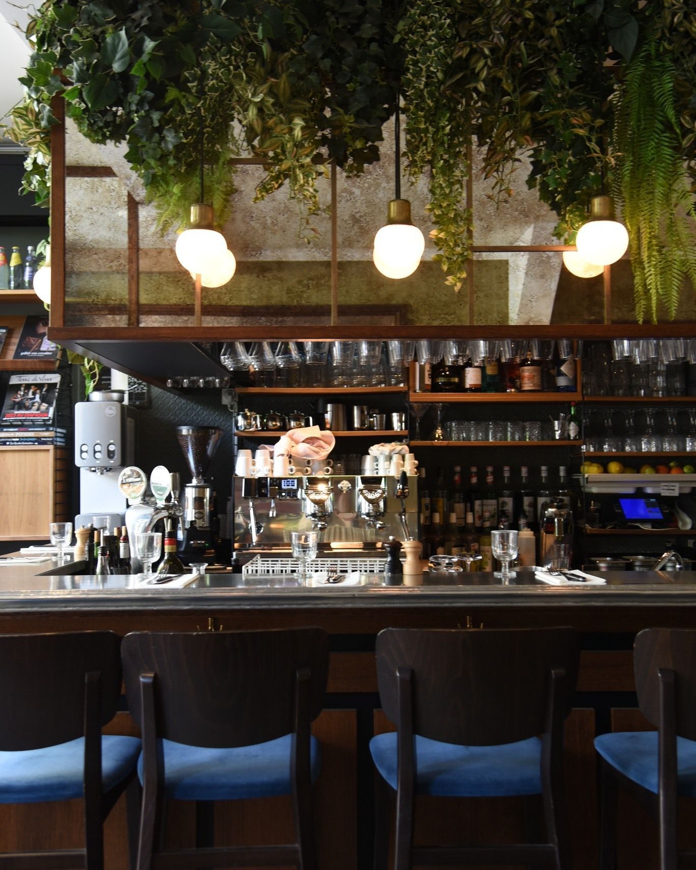 Un bar dans un restaurant avec des plantes suspendues au plafond