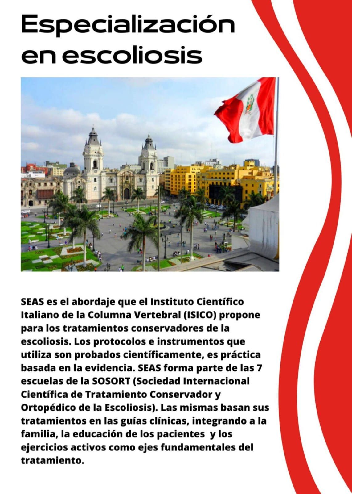 Especialización internacional en escoliosis del adolescente, SEAS nivel 1, Lima, Perú, 17-20 oct 2026