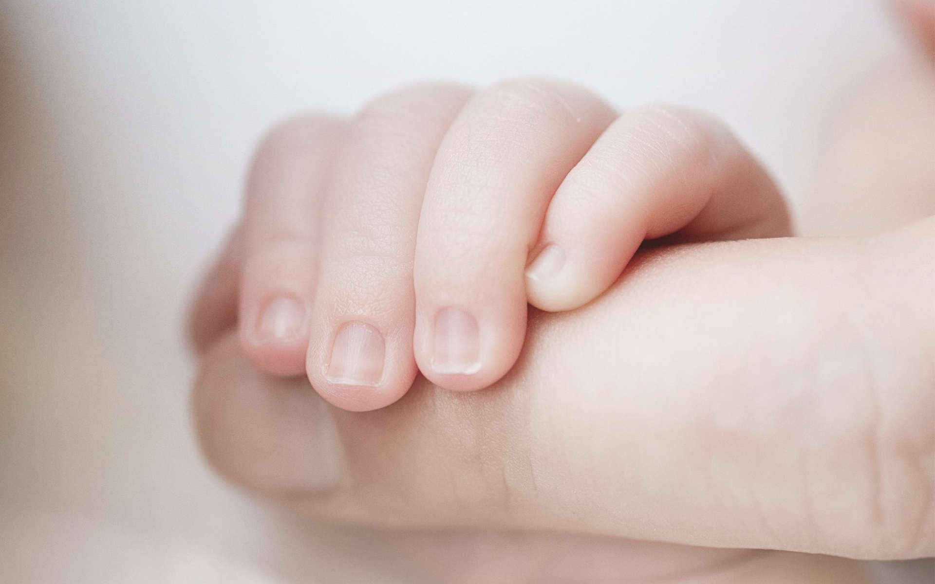 Een klein babyhandje dat voorzichtig een volwassen vinger vastpakt.