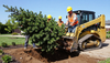 Tree Moving Service