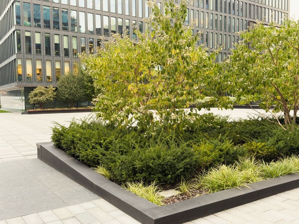 Commercial Tree Planting