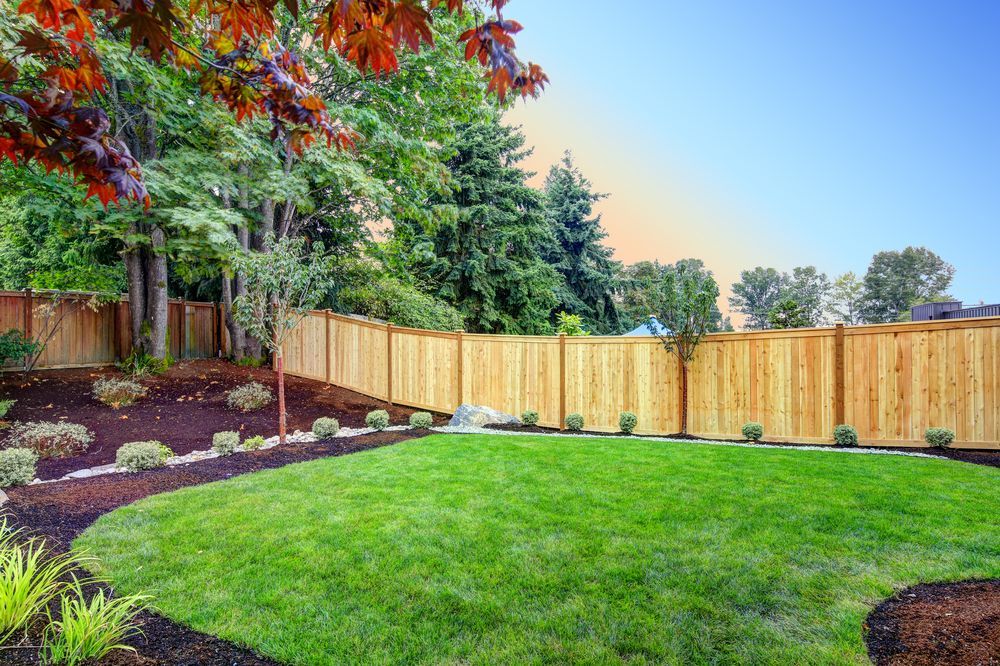 green grass landscape back yard green grass landscape back yard