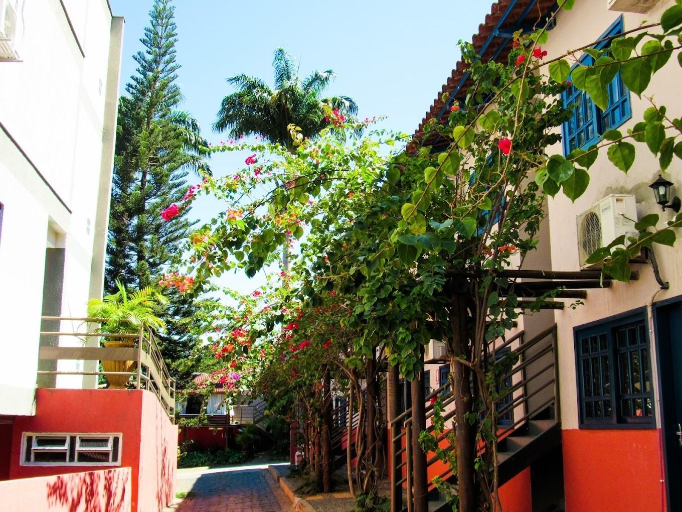 Um beco estreito entre dois prédios com flores nas árvores CR HOTEL BUENO