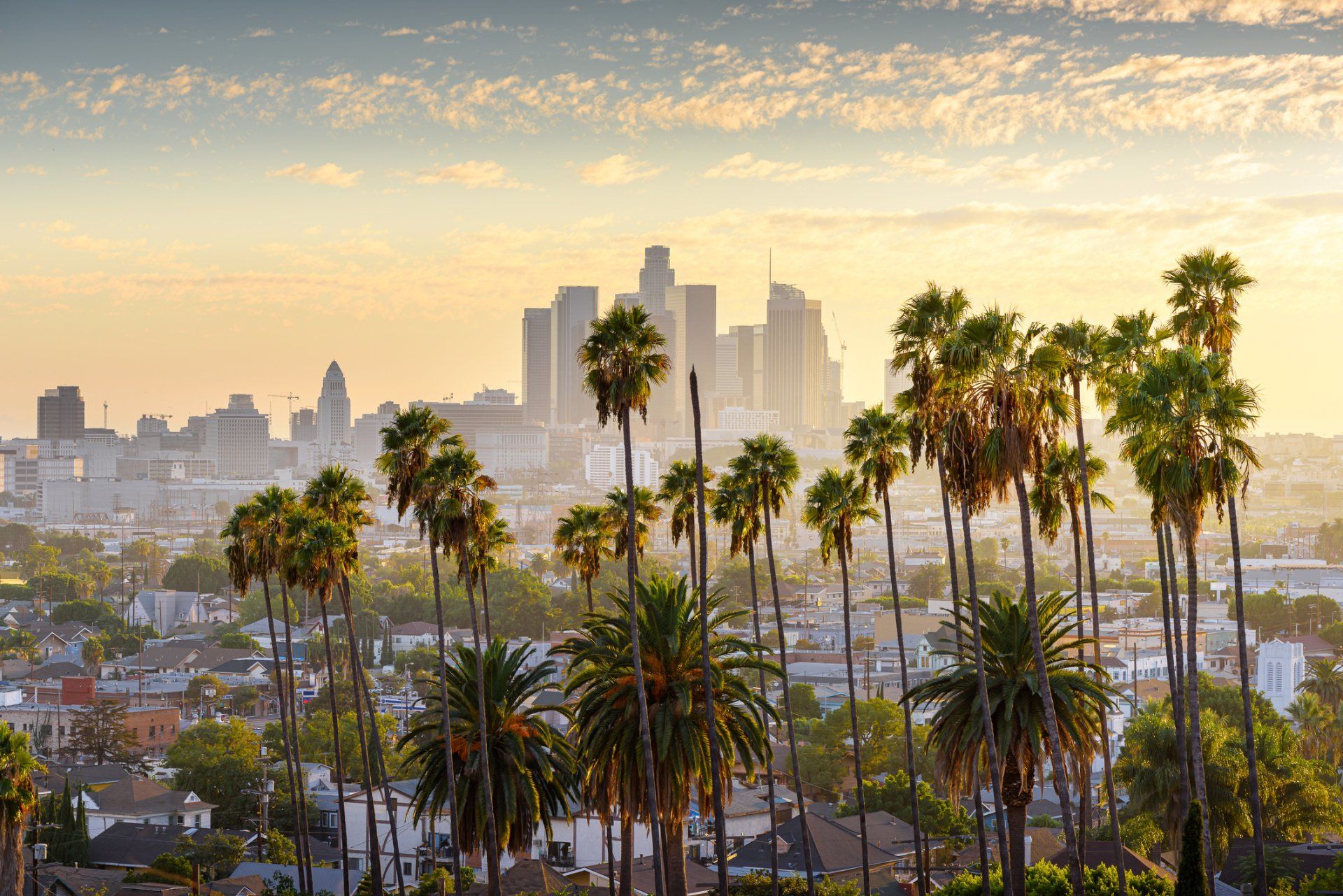 Los Angeles Skyline