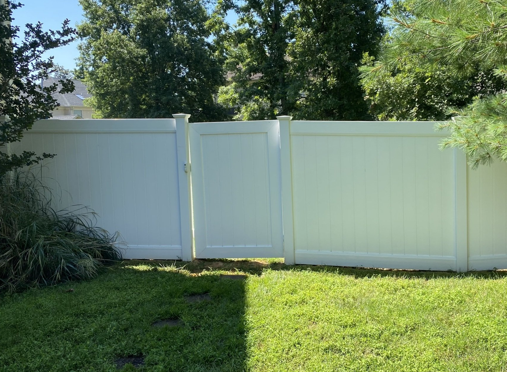 White vinyl backyard fence with a central gate, bordered by grass and trees in sunlight