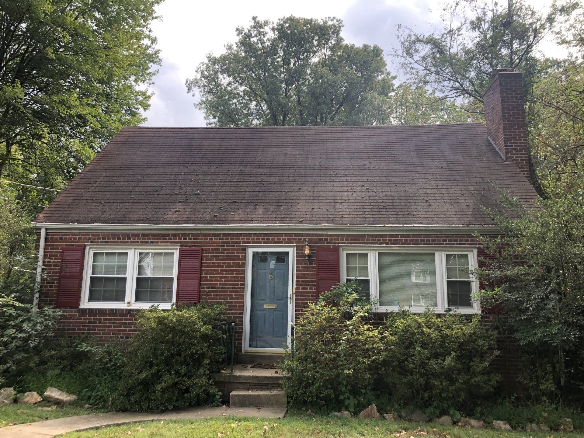 Small brick cottage with a dark roof, blue front door, white shutters, and bushes in front