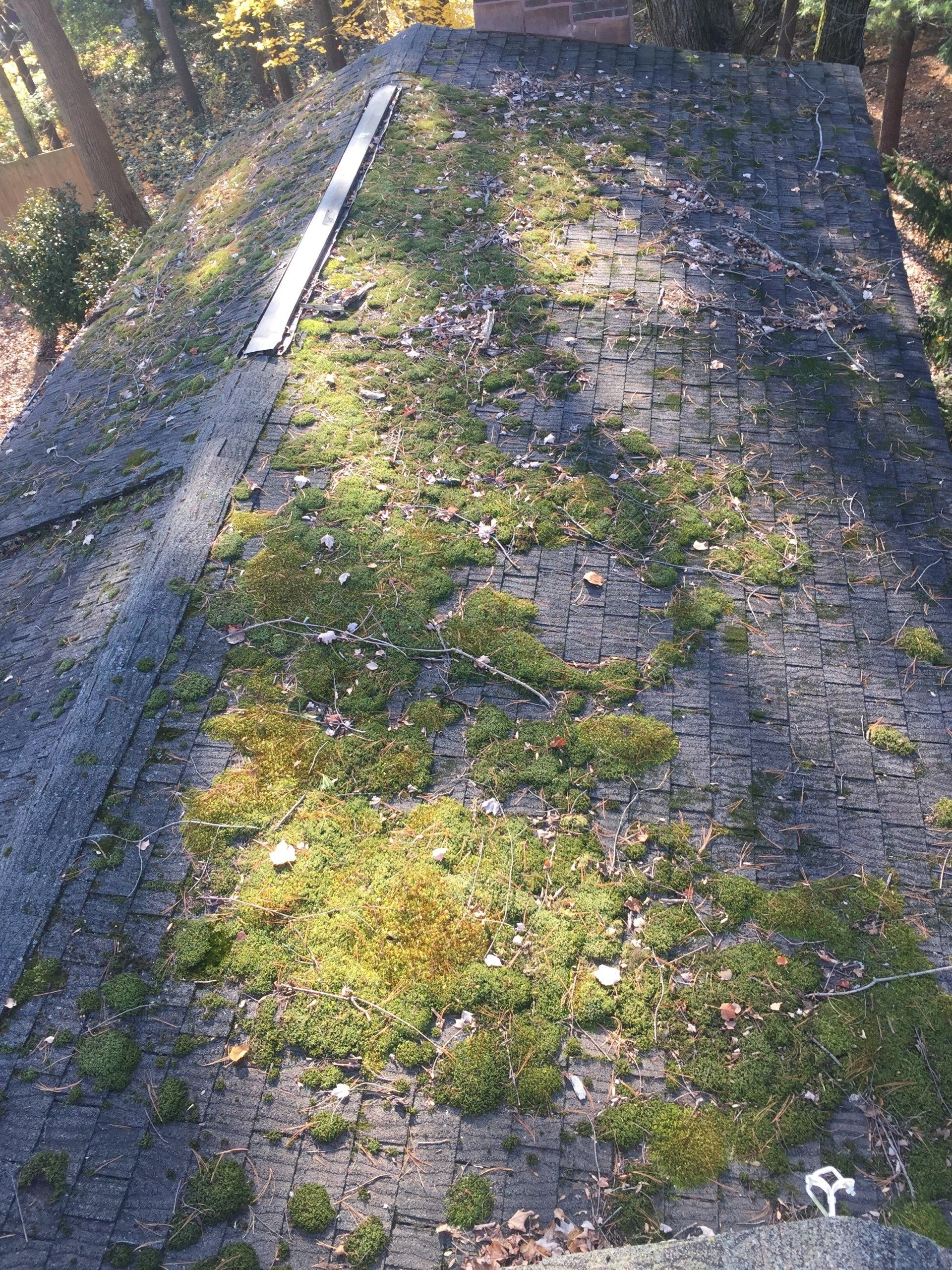Moss-covered sloped rooftop with gravel and a metal ladder along the edge, viewed from above