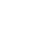 Mostly blank white image with a thin black bar along the bottom edge