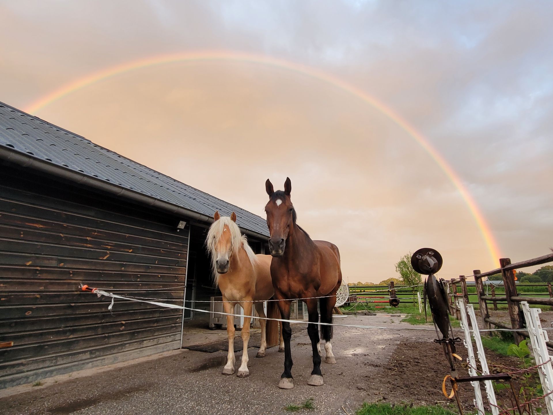 regenboog