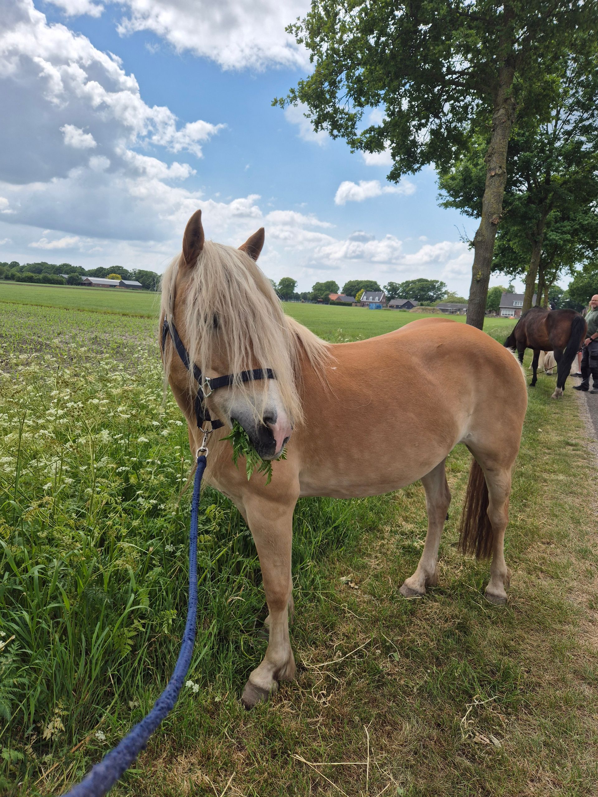 buiten