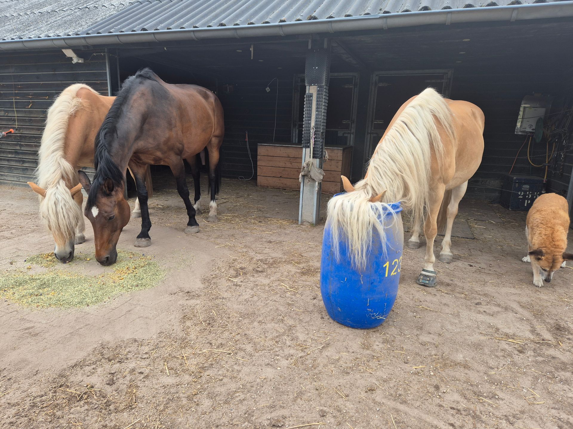 eten