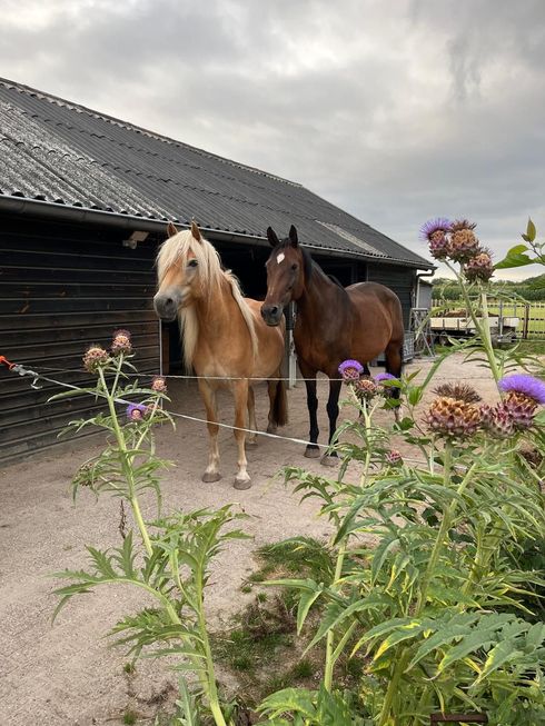 samen