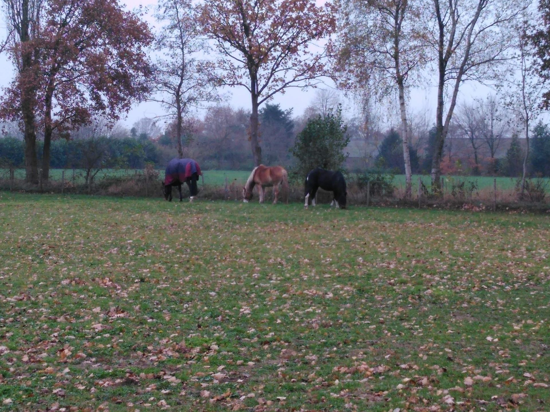 samen