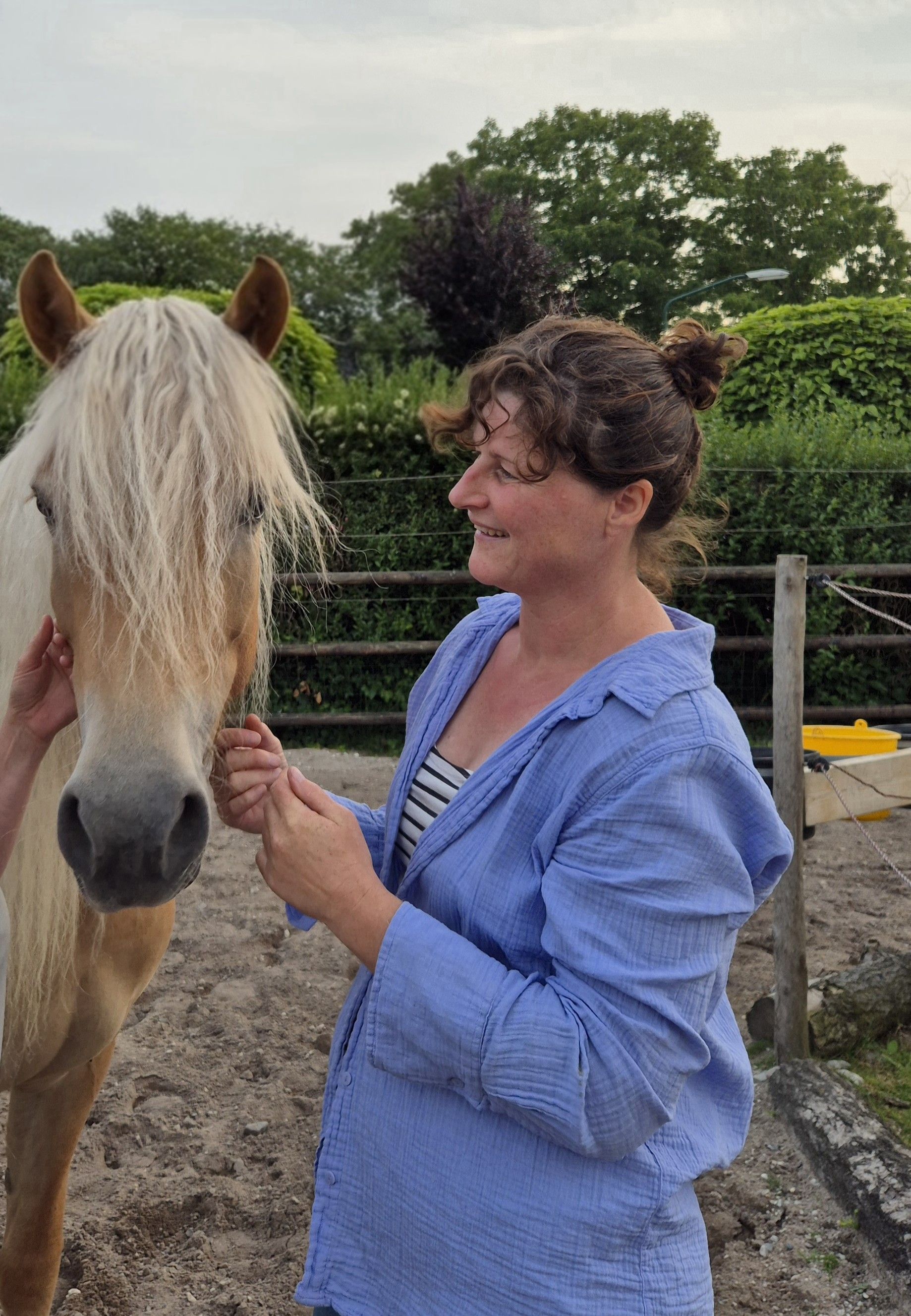 paardencoaching
