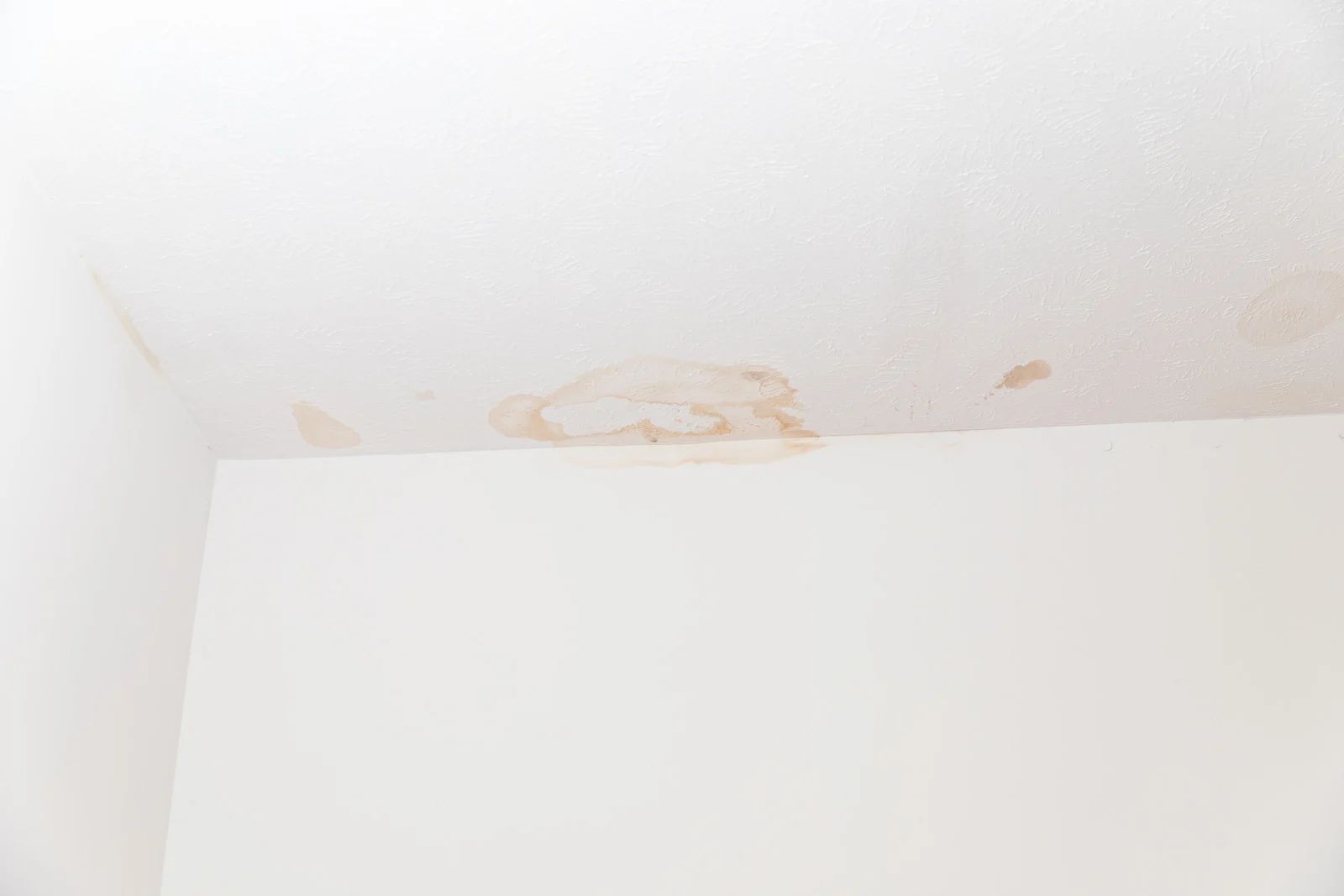 White ceiling with a large brown water stain and peeling paint near the wall corner