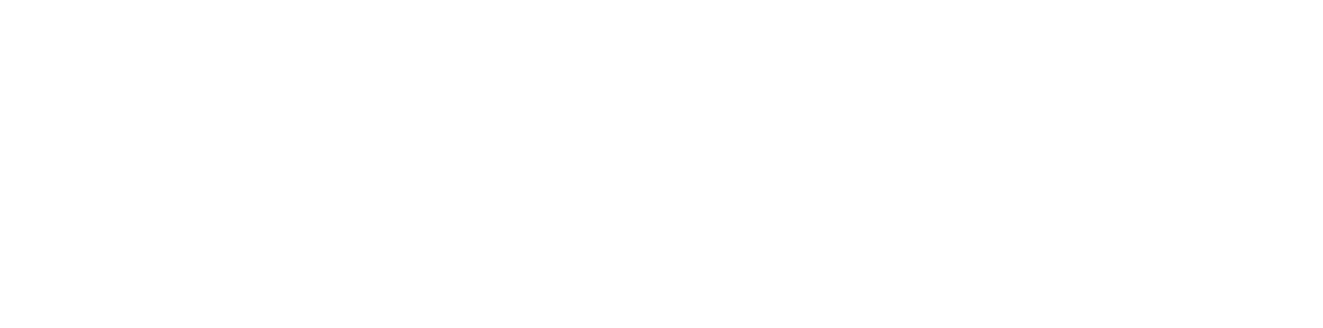 veracity logo 