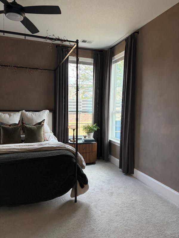 Modern bedroom with canopy bed, dark walls, large windows, and beige carpet in soft daylight
