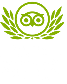 Tripadvisor Reviews