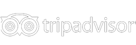Tripadvisor Reviews