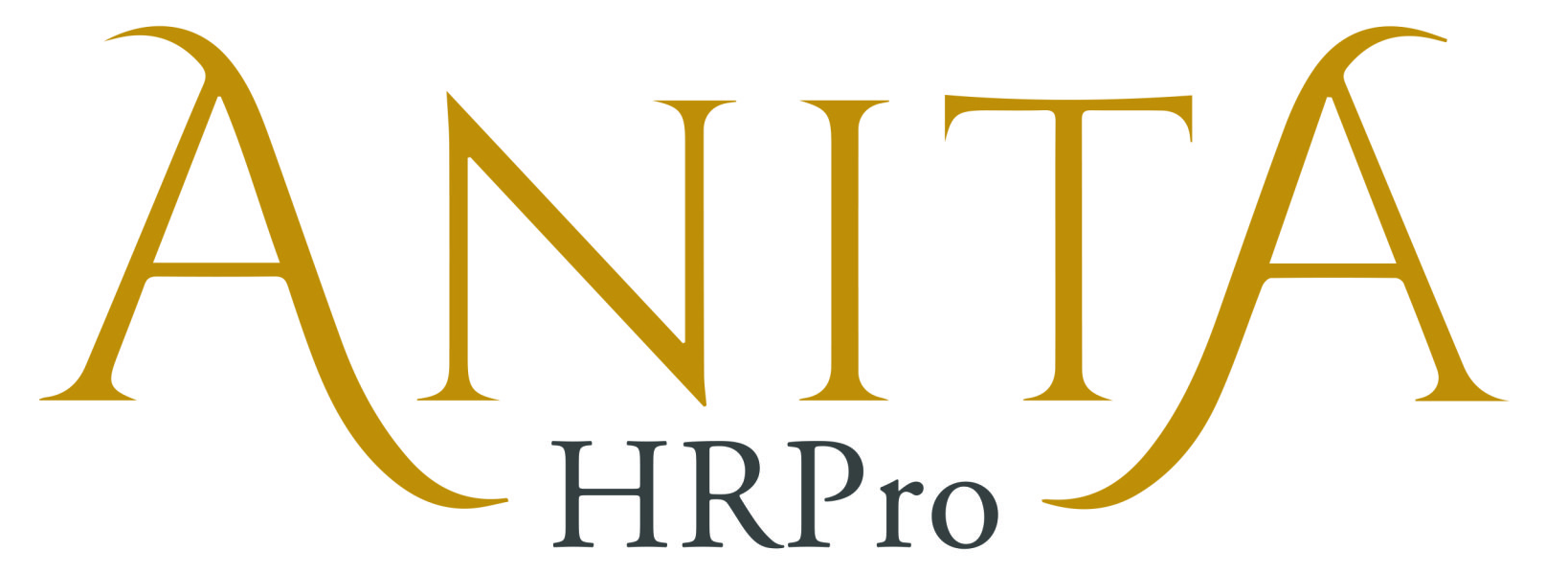 Anita HRPro - HR Executive Guidance Without The Full Time Price Tag